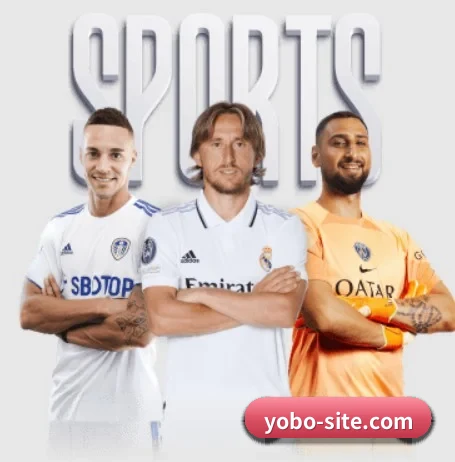 yobo体育官网 APP