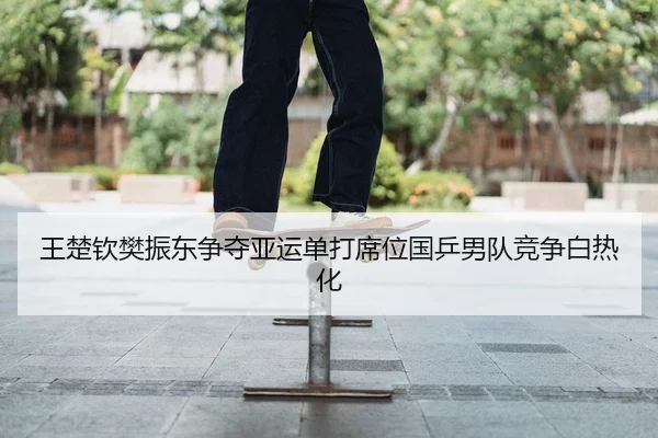 wang-chu-qin-fan-zhen-dong-zheng-duo-ya-yun-dan-da-xi-wei-guo-ping-nan-dui-jing-zheng-bai-re-hua-2-117.jpg